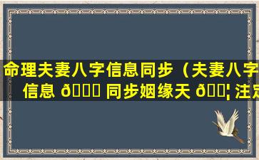 命理夫妻八字信息同步（夫妻八字信息 🐘 同步姻缘天 🐦 注定）